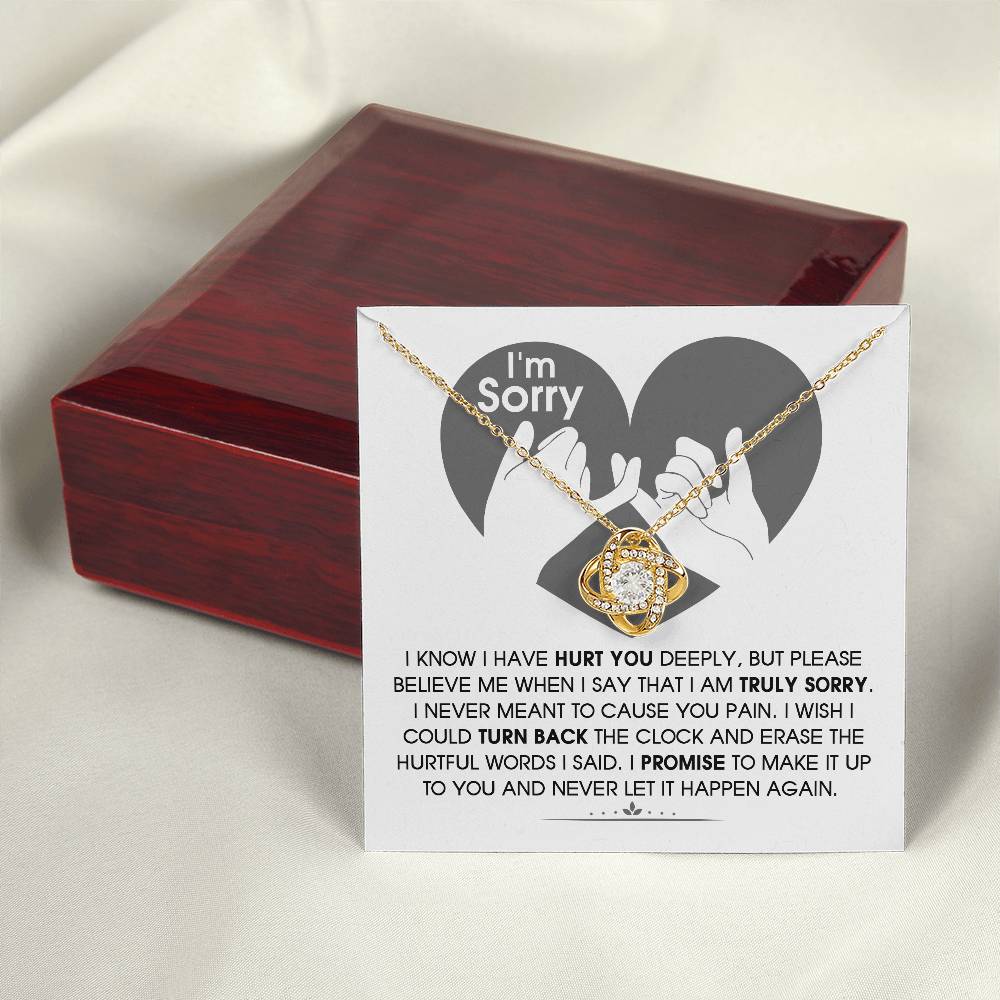 Apology Gift (I'm Sorry) - Hurtful Words