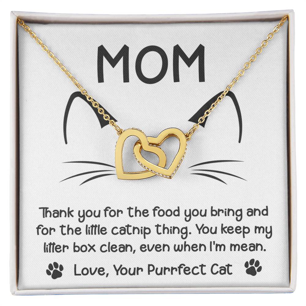 Necklace Gift For Cat Mom - When I'm Mean