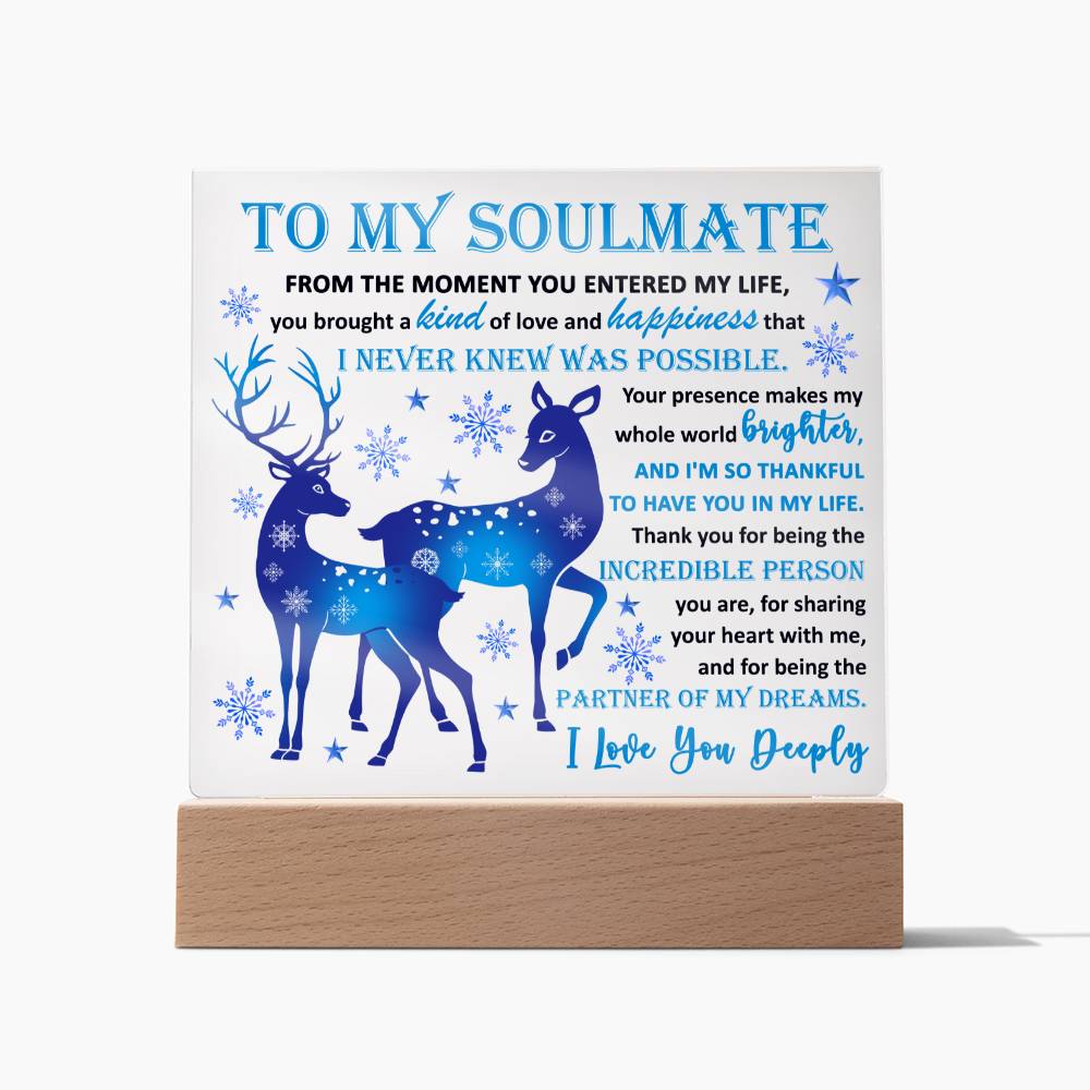 Holiday Acrylic Plaque Gift For Soulmate - Partner Of Dreams