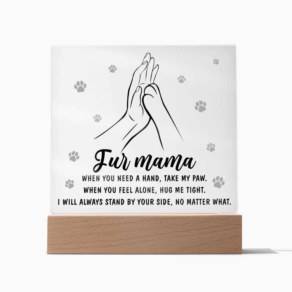 Acrylic Gift For Dog or Cat Mom - Take My Paw