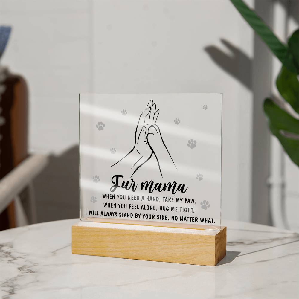 Acrylic Gift For Dog or Cat Mom - Take My Paw