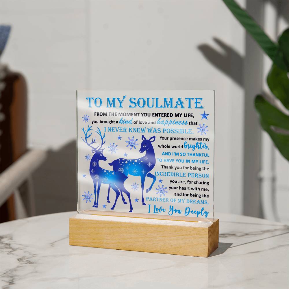 Holiday Acrylic Plaque Gift For Soulmate - Partner Of Dreams