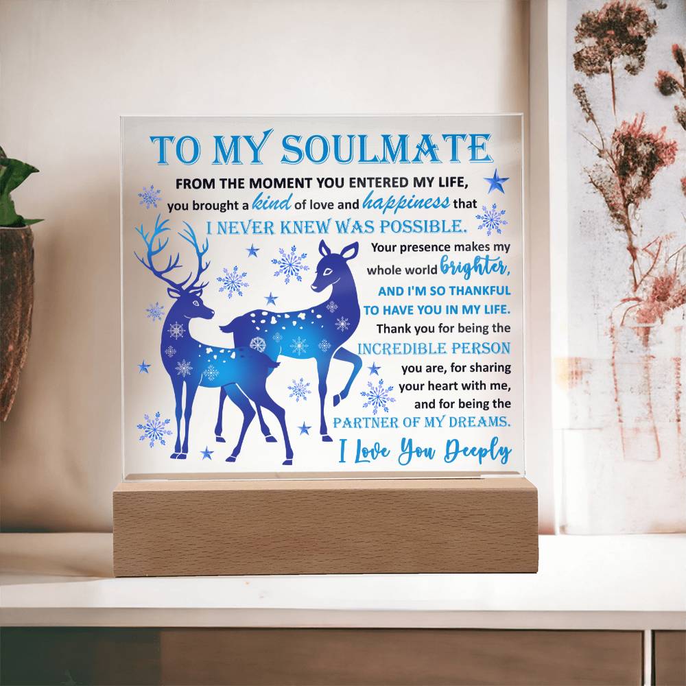 Holiday Acrylic Plaque Gift For Soulmate - Partner Of Dreams