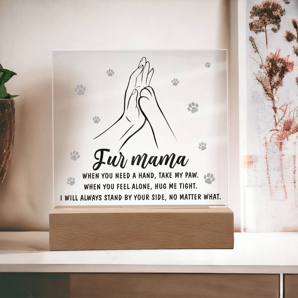 Acrylic Gift For Dog or Cat Mom - Take My Paw