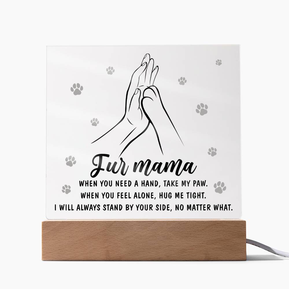 Acrylic Gift For Dog or Cat Mom - Take My Paw