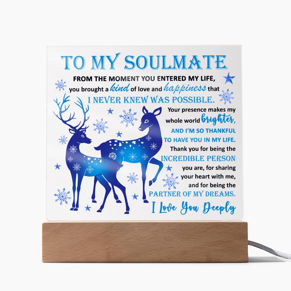 Holiday Acrylic Plaque Gift For Soulmate - Partner Of Dreams