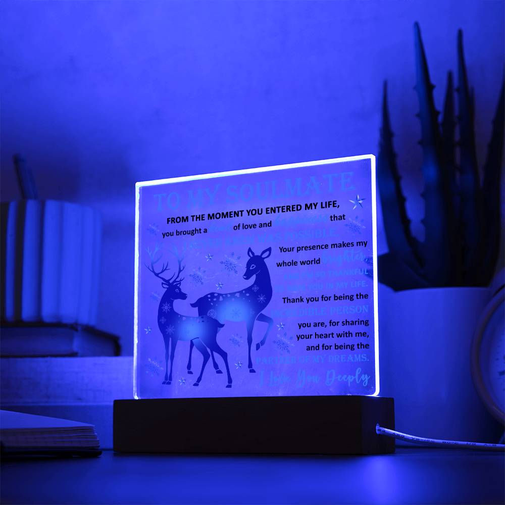 Holiday Acrylic Plaque Gift For Soulmate - Partner Of Dreams
