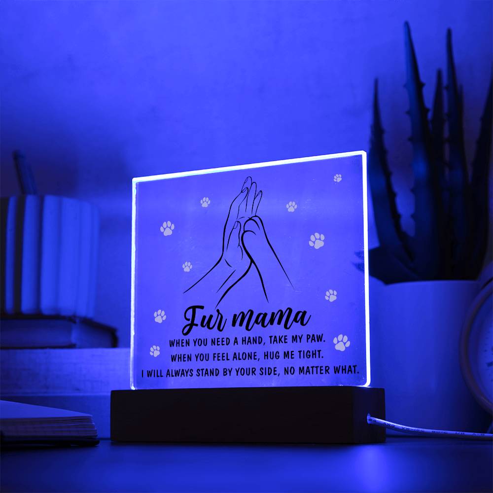 Acrylic Gift For Dog or Cat Mom - Take My Paw