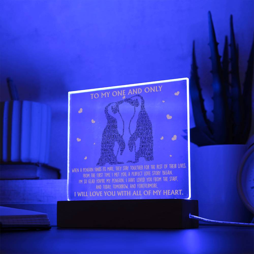 Valentine's Day Acrylic Plaque Gift - Soulmate Perfect Love Story