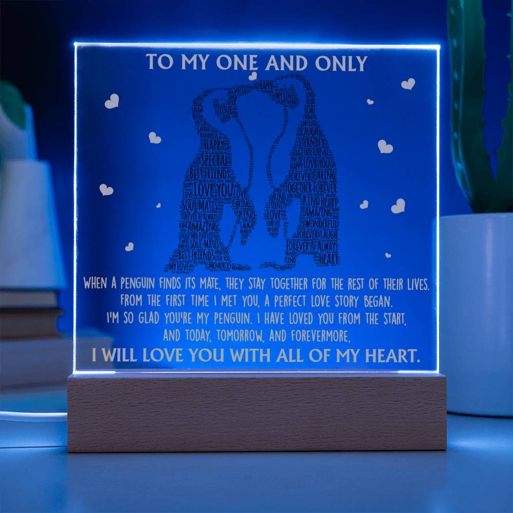 Valentine's Day Acrylic Plaque Gift - Soulmate Perfect Love Story