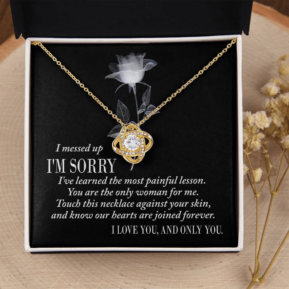 Apology Gift (I'm Sorry) - Painful Lesson