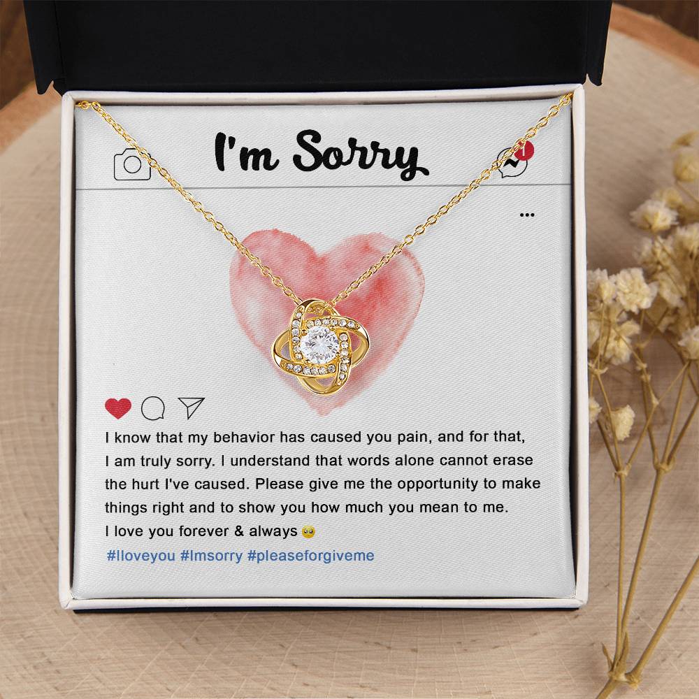 Apology Gift (I'm Sorry) - Cannot Erase