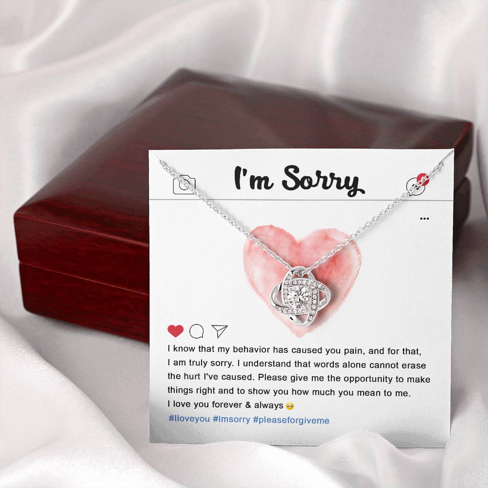 Apology Gift (I'm Sorry) - Cannot Erase