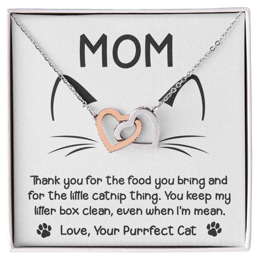 Necklace Gift For Cat Mom - When I'm Mean