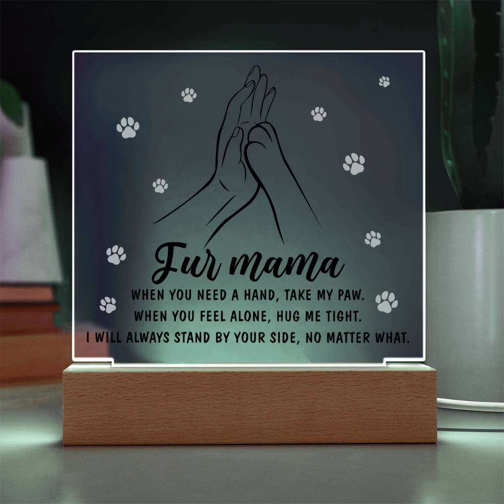 Acrylic Gift For Dog or Cat Mom - Take My Paw